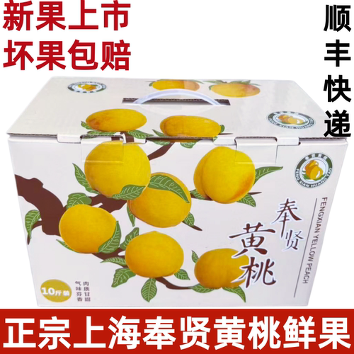 奉贤黄桃桃子黄桃10斤上海