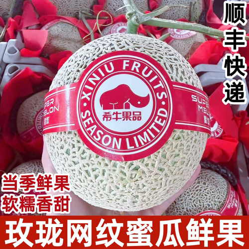 正宗网纹蜜瓜玫瓏蜜瓜品种静冈玫珑网纹瓜夕张网纹瓜糯甜顺丰快递
