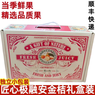 匠心极融安金桔金桔子当季新鲜水果黄皮纯甜脆皮金桔独立小包装