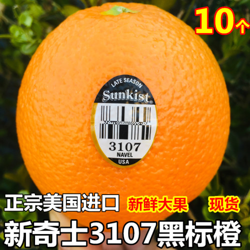 新奇士黑标3107橙美国进口