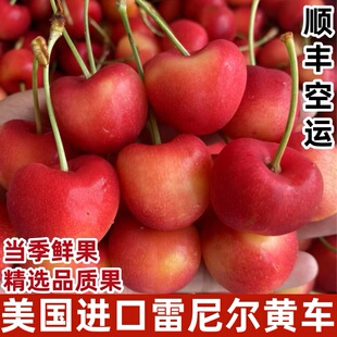 美国进口芝华士雷尼尔黄车厘子黄樱桃金车当季新鲜水果顺丰空运