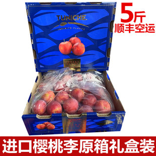 现货智利进口樱桃李纯甜新鲜时令水果大李子5J大果洋李子顺丰礼盒