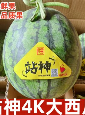 甘美4K站神西瓜战神无籽无核肉质紧实脆甜爽口海南产顺丰快递