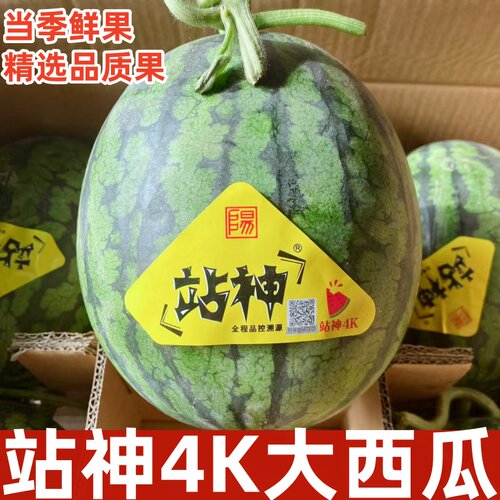 甘美4K站神西瓜战神无籽无核肉质紧实脆甜爽口海南产顺丰快递