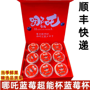 哪吒蓝莓超能杯蓝莓鲜果大果礼盒装9杯新鲜孕妇水果顺丰快递快递