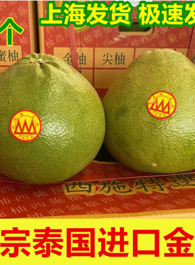 现货正宗泰国金柚2只大果进口泰柚新鲜柚子蜜柚水果包邮标签随机