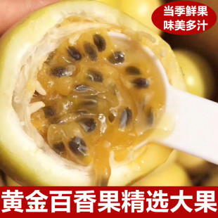钦蜜9号黄金百香果香甜多汁当季时令新鲜水果大果茶饮泡水3斤包邮
