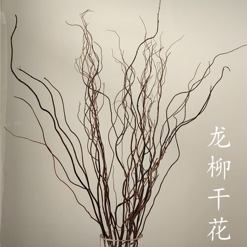 龙柳植物干树枝天然干燥花束卧室客厅装饰高级宿舍饭厅桌面花艺摆