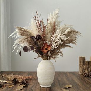 美拉德风干花真花天然芦苇花束居家商业摆设餐厅桌面花艺装饰摆件