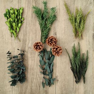 天然永生绿色叶材尤加利叶千层金桉树叶DIY圣诞节手工干花材料