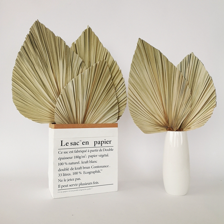 橱窗装饰婚庆插花白色芦苇干花蒲扇叶婚礼场景花艺墙干蒲葵叶棕榈