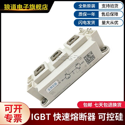 议价全新功率 IGBT模块 SKM300GM12T4 SKM400GM12T4 SKM450GM12E4