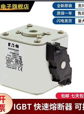 议价美国伊顿巴斯曼熔断器  170M5497  170M5498  170M5499  170M