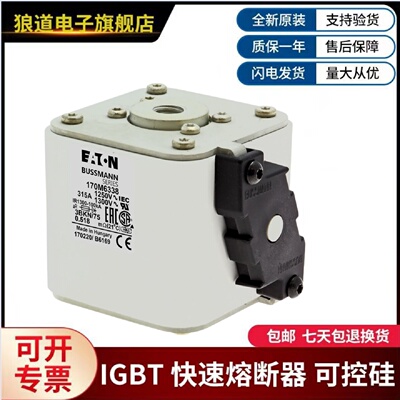 议价美国伊顿巴斯曼熔断器  170M5592  170M5593  170M5594  170M