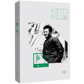 河南文艺出版 社旗舰店正版 南丁 百年中篇小说名家经典 官方自营 新绿