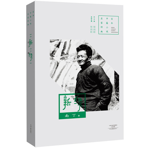 【官方自营】新绿  南丁 百年中篇小说名家经典 河南文艺出版社旗舰店正版
