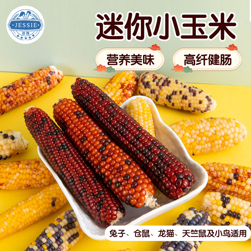 洁西仓鼠零食磨牙棒营养粮小玉米芯棒兔子金丝熊造景生活用品大全,宠物/宠物食品及用品,鼠粮,淘宝优惠券,粉丝福利购,淘宝优惠卷