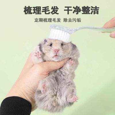 仓鼠软毛梳子长毛金丝熊生活用品