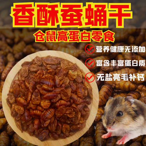 仓鼠蚕蛹金丝熊蜜袋鼯零食