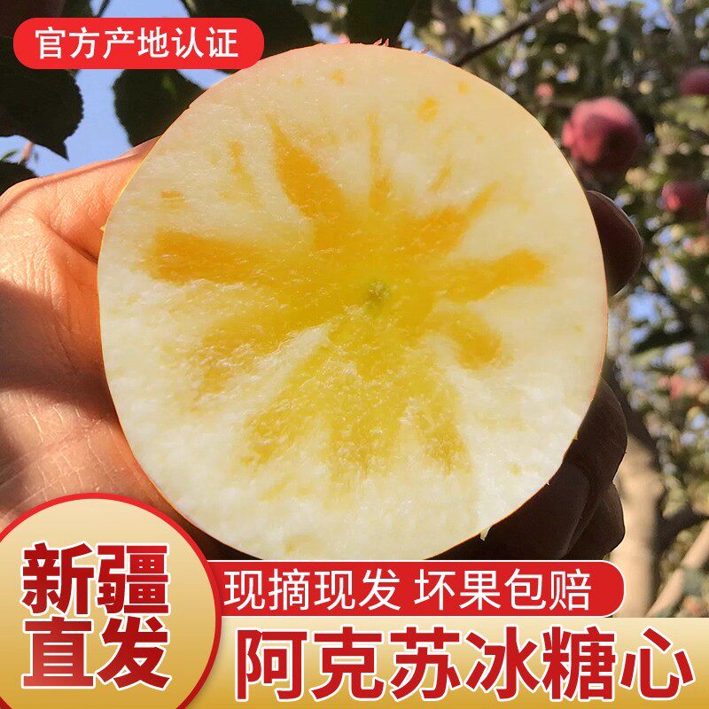 新疆阿克苏直发冰糖心苹果当季新鲜脆甜多汁水果