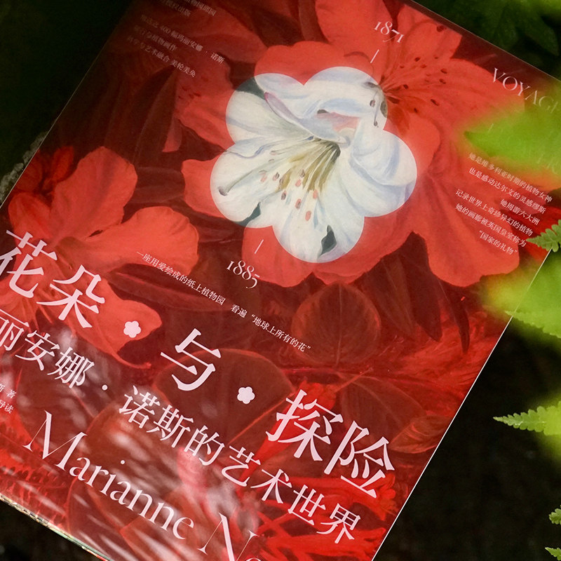 花朵与探险 玛丽安娜诺斯的艺术世界 玛丽安娜诺斯著 一座纸上植物园 看尽世界奇珍异幻的花草树木 英国皇家植物园邱园授权出版