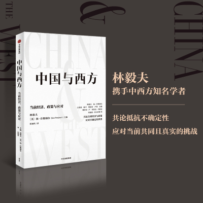 中国与西方 当前经济 政策与应对 林毅夫等著 共论全球经济与政策 应对不确定的世界 数字经济 发展经济学 中信出版社图书 正版