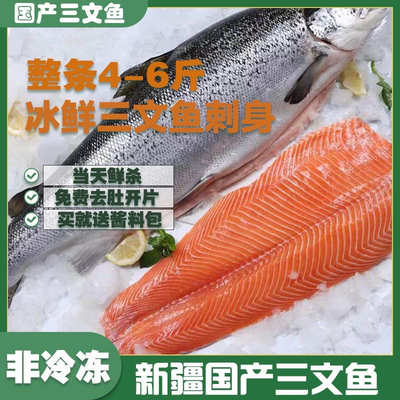 新疆国产虹鳟三文鱼整条3-7斤