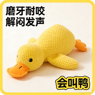 狗狗玩具毛绒发声幼犬小狗宠物比熊泰迪柯基磨牙耐咬自嗨解闷神器