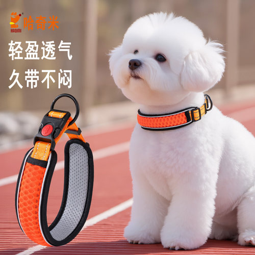 【出行好物】狗狗护颈项圈