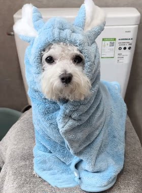 比熊专用浴巾宠物狗狗洗澡吸水毛巾速干幼犬浴袍神器小狗用品工具