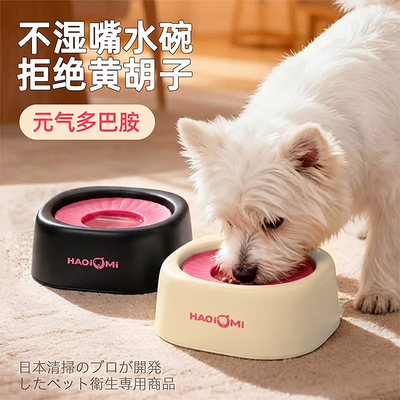 哈奇米狗狗喝水碗狗粮碗不湿嘴悬浮水碗漂浮水盆防打翻宠物饮水器