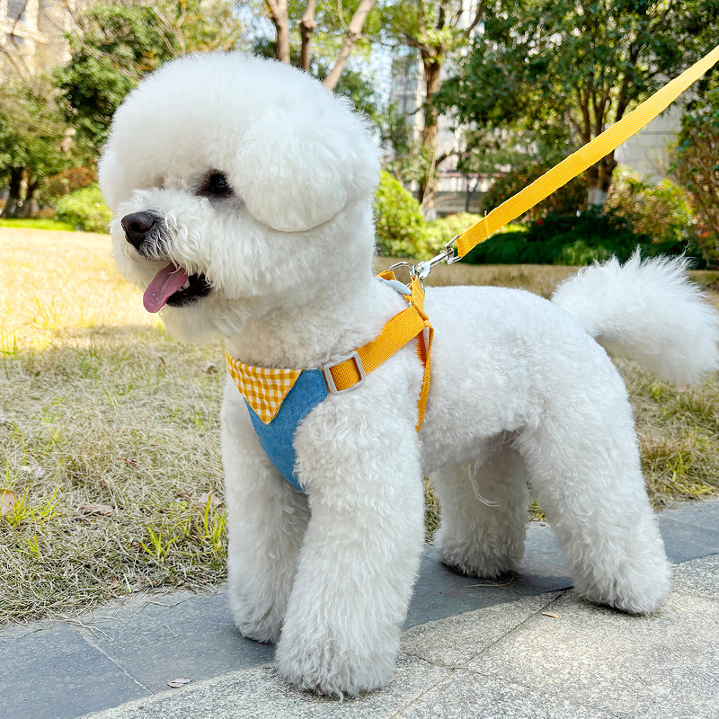 狗狗牵引绳背心式中小型犬泰迪博美比熊胸背带小狗幼犬遛狗绳狗链