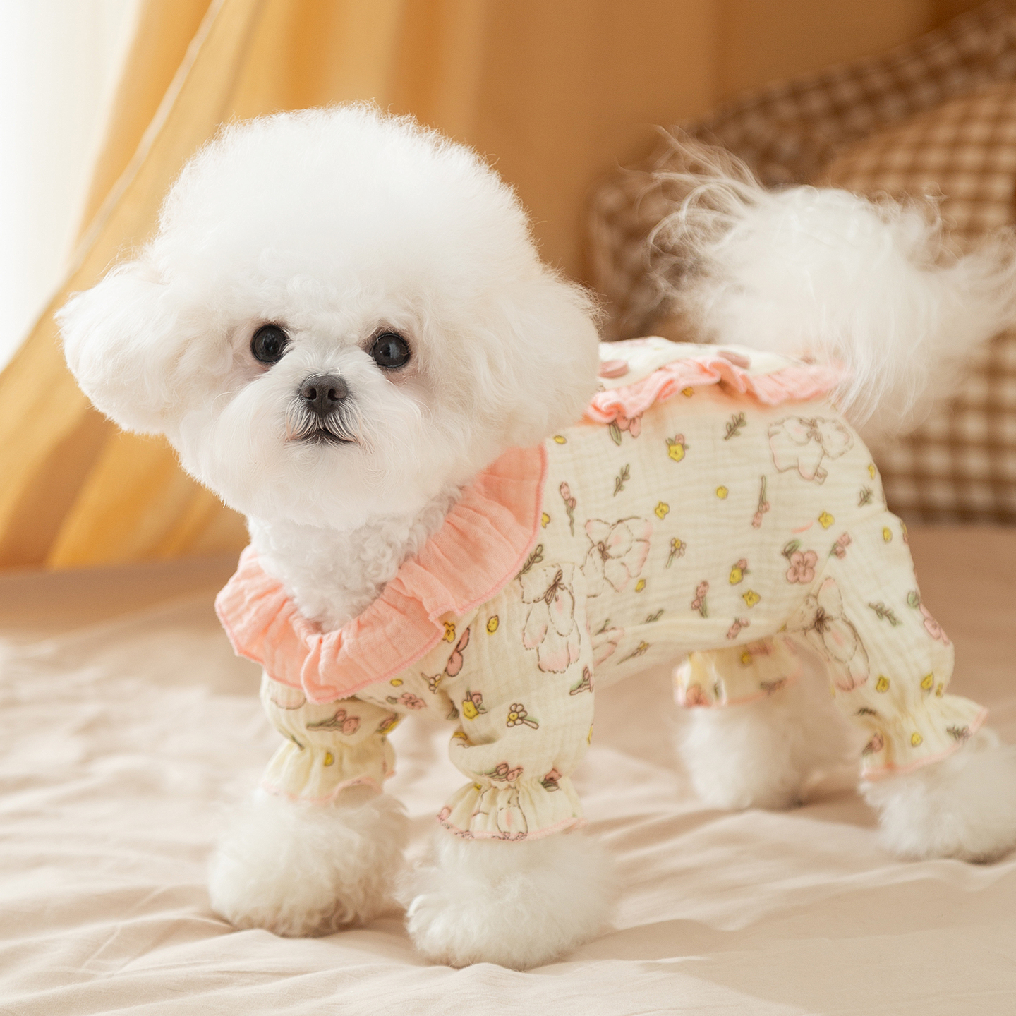 婴儿纱包肚衣2025新款狗狗衣服四脚泰迪比熊宠物睡衣小型犬护肚衣