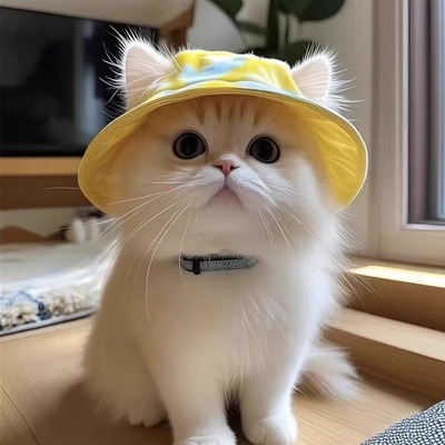 可爱露耳朵猫咪帽子夏季宠物防晒太阳帽英短德文猫帽子小猫渔夫帽
