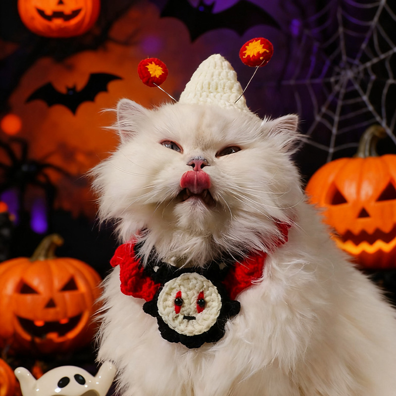 万圣节宠物围兜狗狗围脖猫咪帽子手工针织项圈南瓜装饰装扮衣服