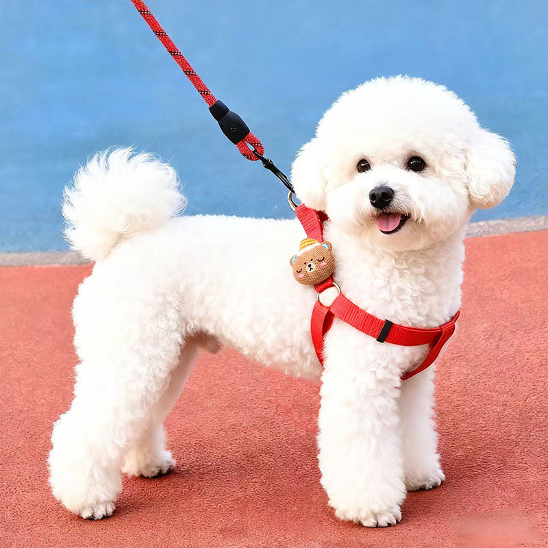 狗狗牵引绳背心式防挣脱宠物泰迪中小型犬猫咪牵引绳背心式遛狗绳