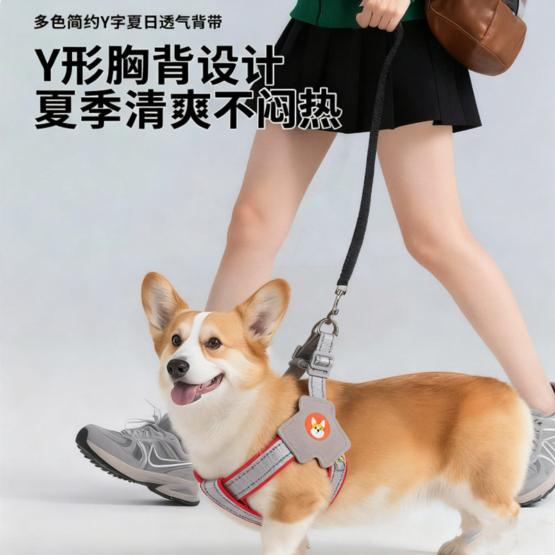 新款狗狗牵引绳胸背带背心式宠物遛狗绳中小型柴犬犬法斗柯基脖圈