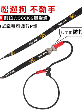 宠物P链P字绳训犬用品狗狗牵引绳遛狗绳子小狗链子小型犬中型大型