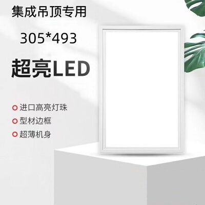 305x493适用品格集成吊顶led灯