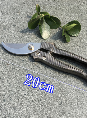 修枝剪修花盆栽园艺花卉家用锋利省力不磨手新款包邮弯嘴直嘴果枝