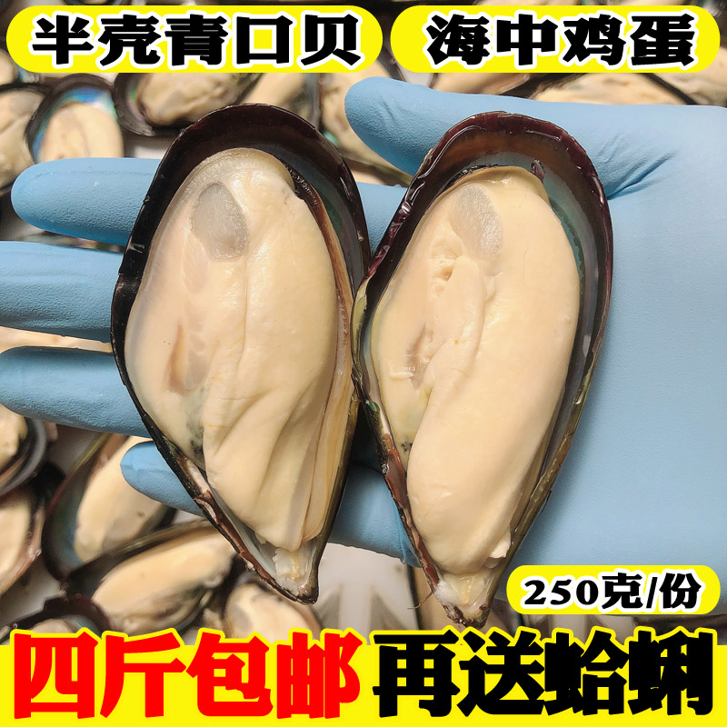 海鲜鲜活淡菜新鲜青口贝野生贻贝大海虹肉贝类水产冷冻半壳淡菜肉