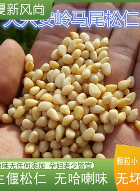 大兴安岭野生偃松子仁原味小松仁烘焙250g包邮偃松小镇马尾松仁