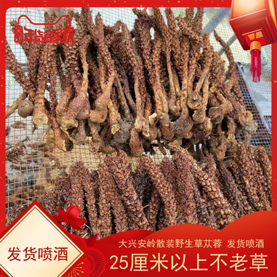 大兴安岭野生不老草山苞米草苁蓉散装新货列当中药材泡酒料