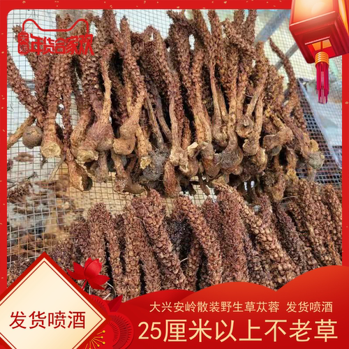 大兴安岭野生不老草山苞米草苁蓉散装新货列当中药材泡酒料