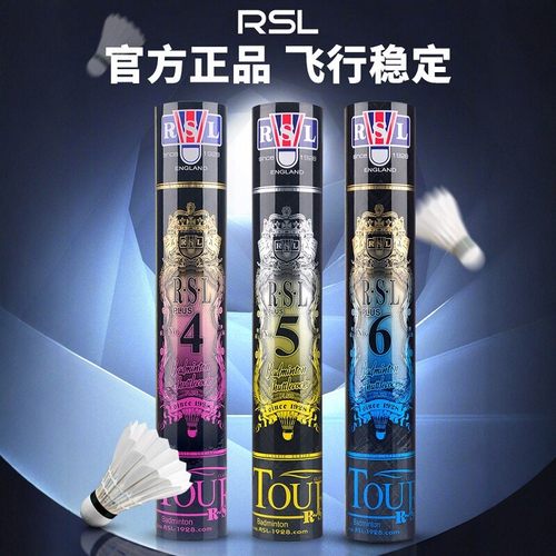 亚狮龙4/5/6/10号PLUS羽毛球