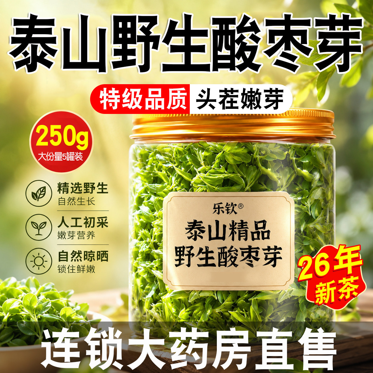 酸枣芽茶泰山2026年新货嫩芽野生功效养生茶官方旗舰店正品nn