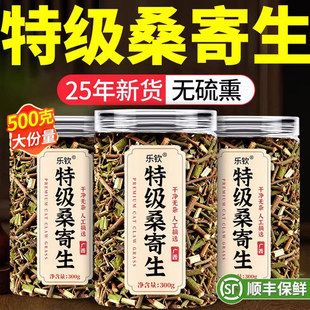 桑寄生野生中药材正品泡水喝的功效作用男士强筋骨养肾养生茶nn