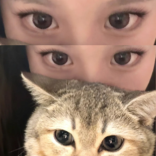 黑心玫瑰美瞳半年抛大直径高级感近视隐形眼镜年抛官方旗舰店ftb