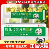 苗九洲槐花马齿苋断痔膏草本槐实膏肛门瘙痒涂抹外膏官方正品 2HT