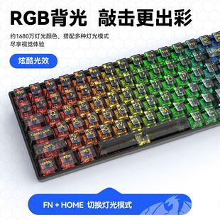 Mechanical Bluetooth Keyboard RGB Plug Hot Transparent